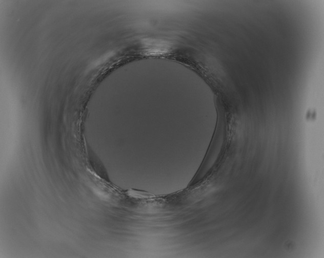 X0000110701441200907021946