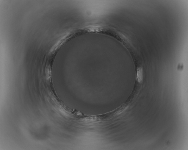 X0000110701444200907021946