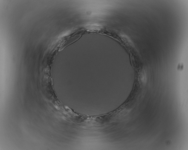 X0000110701445200907021946