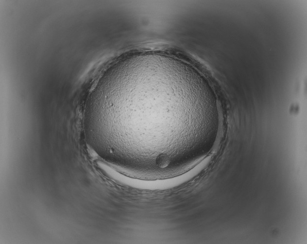 X0000110701447200907021946