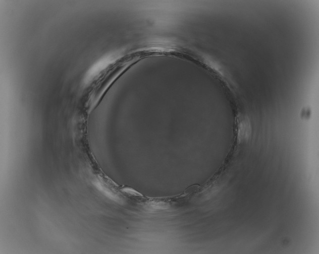 X0000110701448200907021946