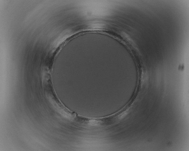 X0000110701449200907021946