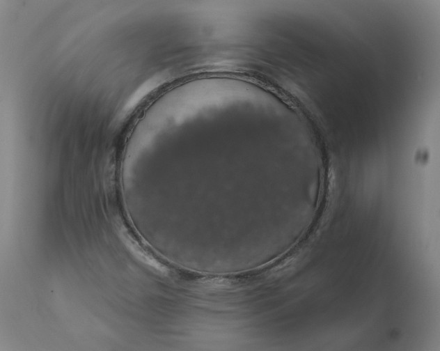 X0000110701450200907021946