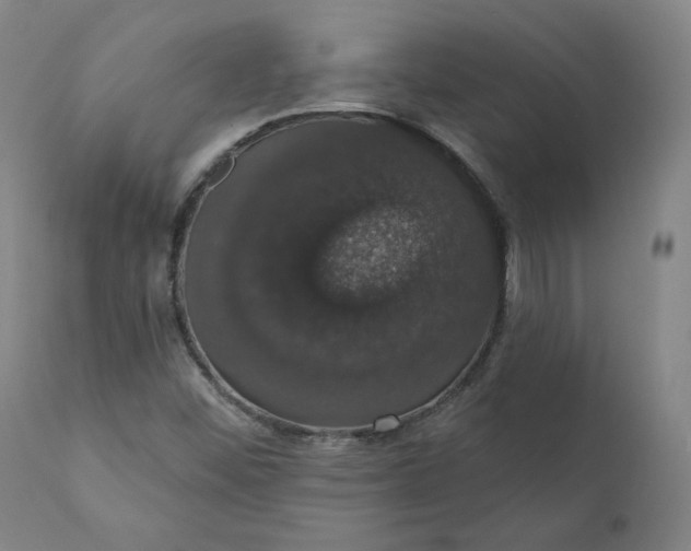 X0000110701452200907021946