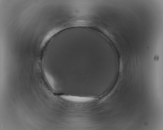 X0000110701453200907021946