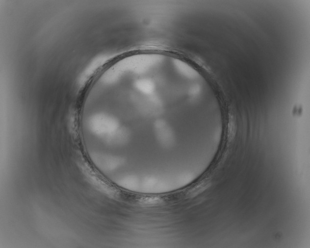 X0000110701454200907021946