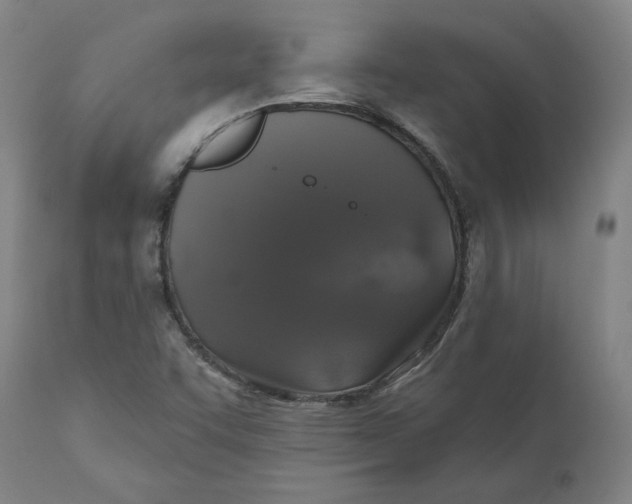 X0000110701455200907021946