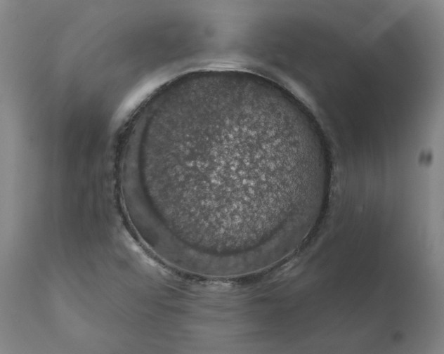 X0000110701456200907021946