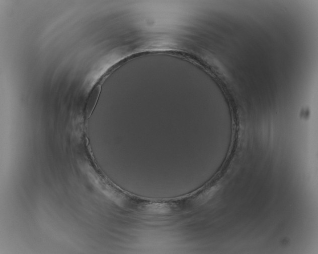 X0000110701457200907021946