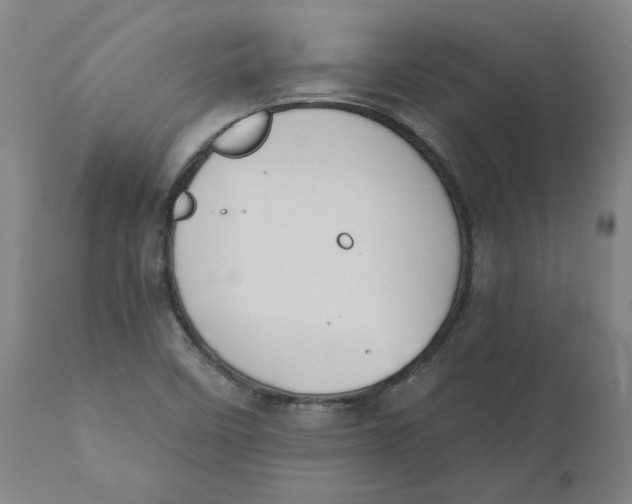 X0000110701458200907021946