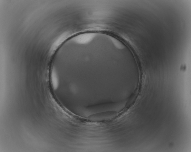 X0000110701459200907021946