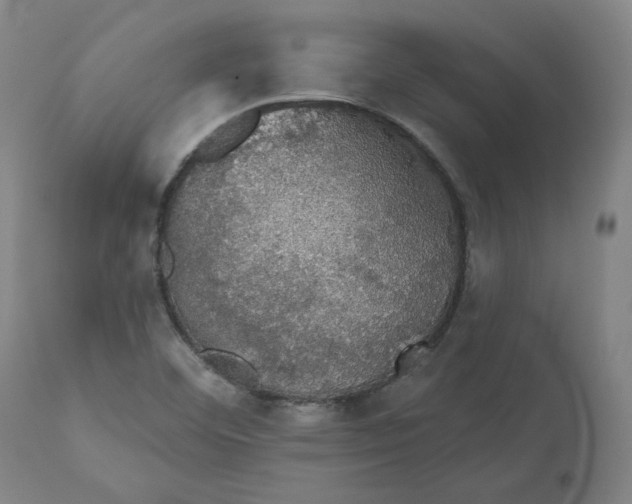 X0000110701460200907021946