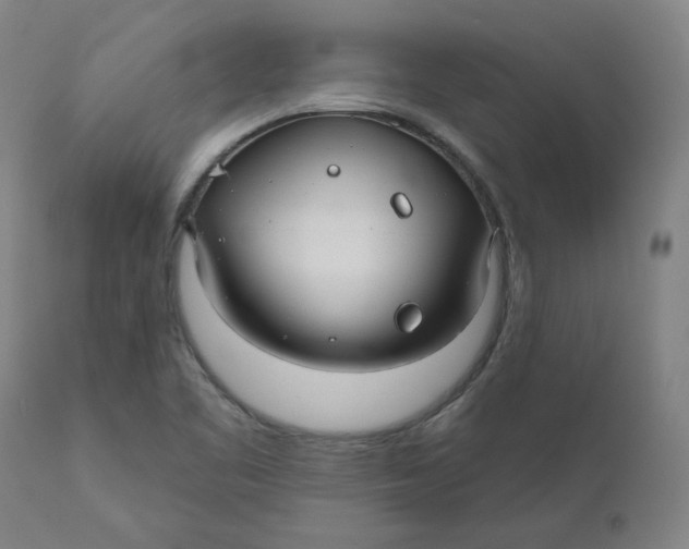 X0000110701461200907021946