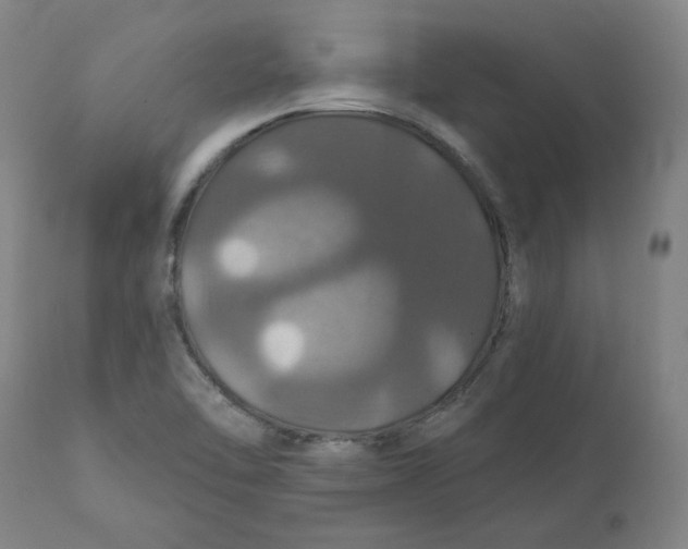 X0000110701462200907021946