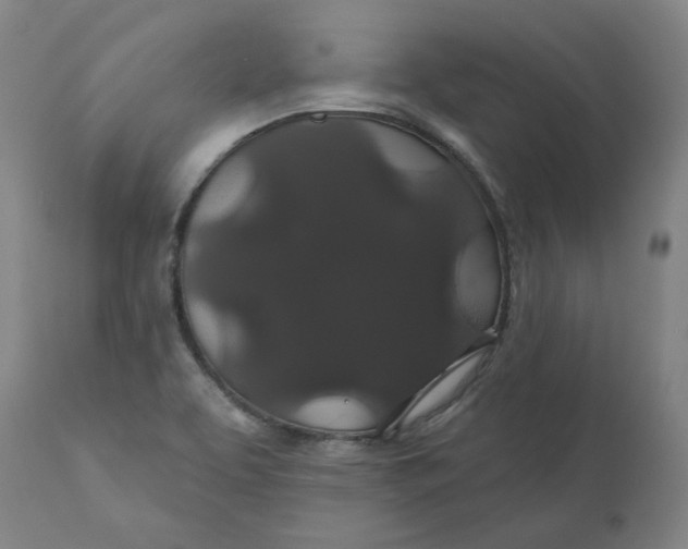 X0000110701463200907021946