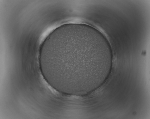 X0000110701464200907021946