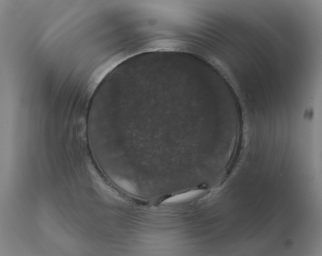 X0000110701465200907021946