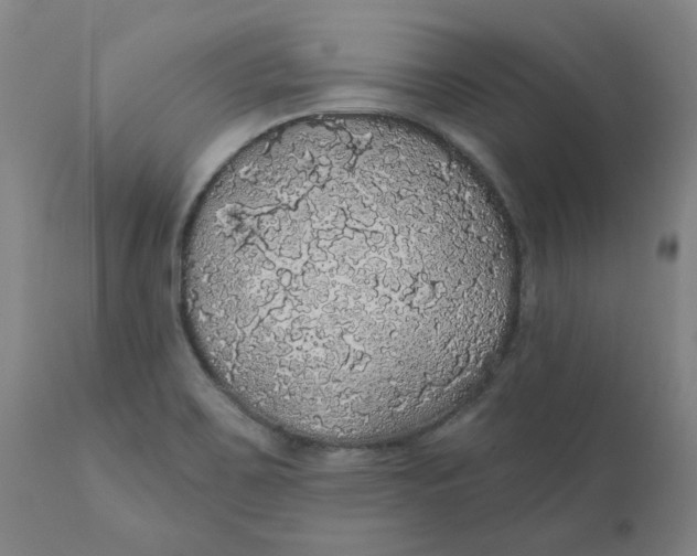 X0000110701467200907021946