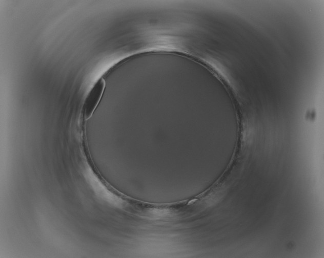 X0000110701468200907021946