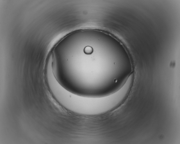 X0000110701469200907021946