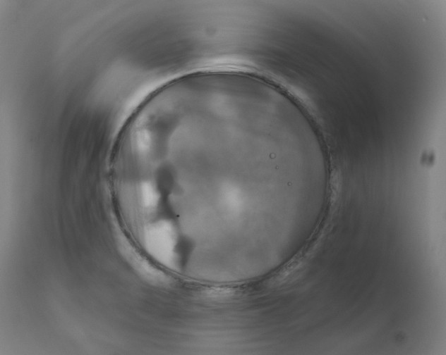 X0000110701470200907021946