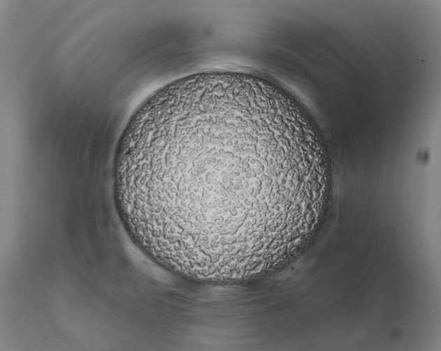 X0000110701471200907021946