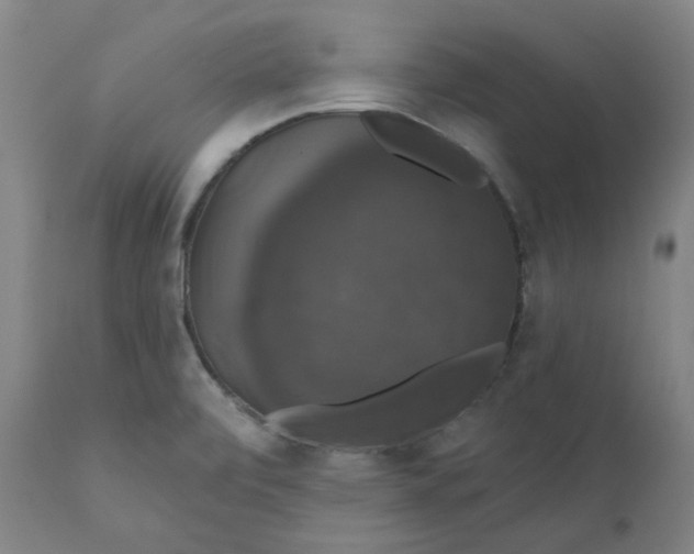 X0000110701472200907021945