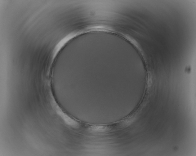 X0000110701474200907021945