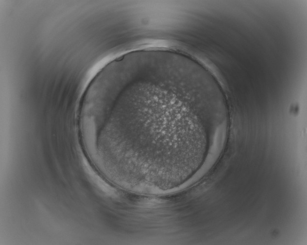 X0000110701475200907021945