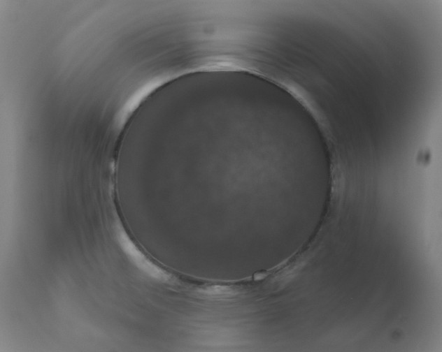 X0000110701476200907021945