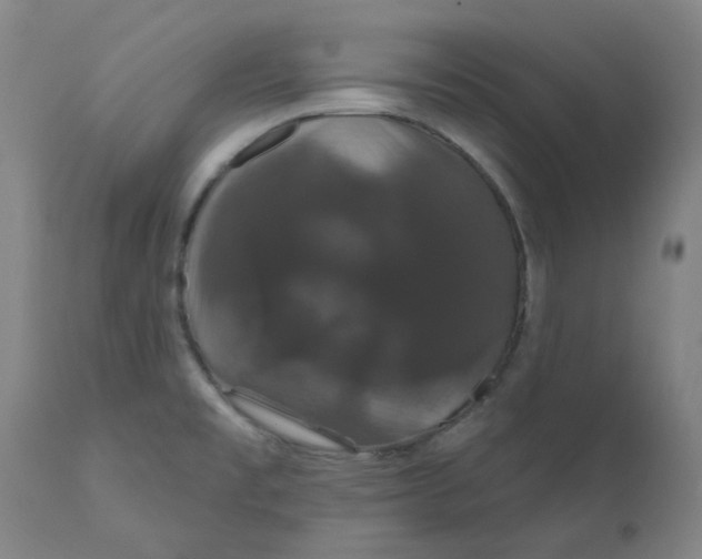 X0000110701477200907021945