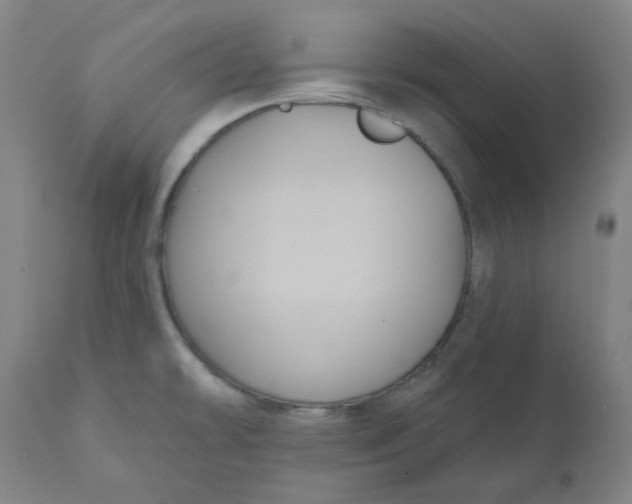 X0000110701478200907021945