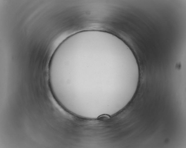 X0000110701479200907021945