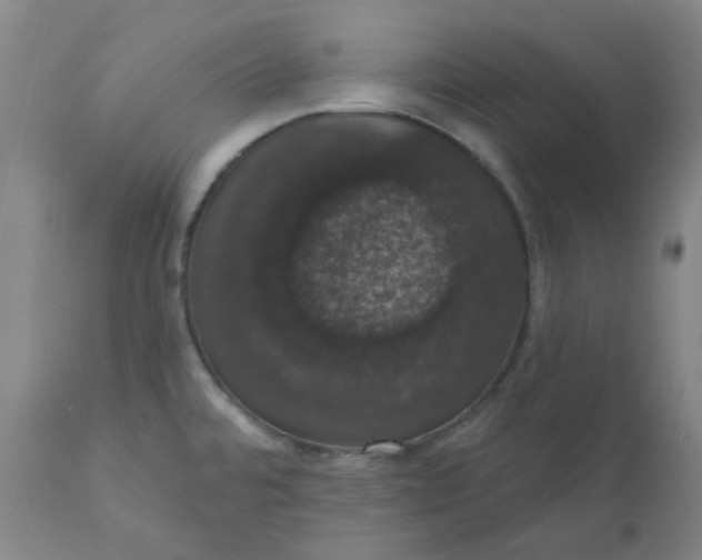 X0000110701480200907021945