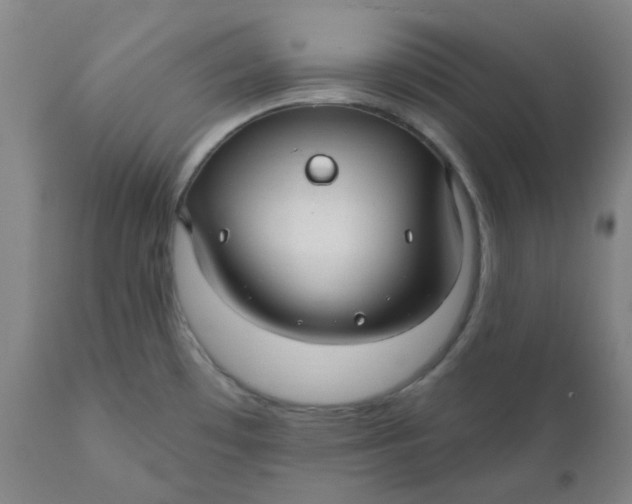 X0000110701481200907021945