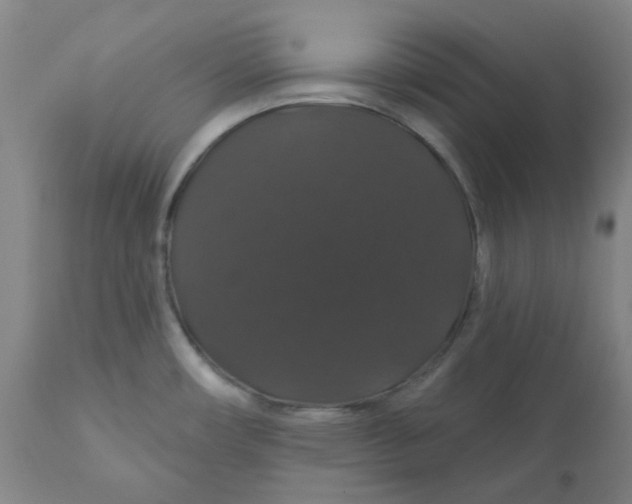 X0000110701482200907021945