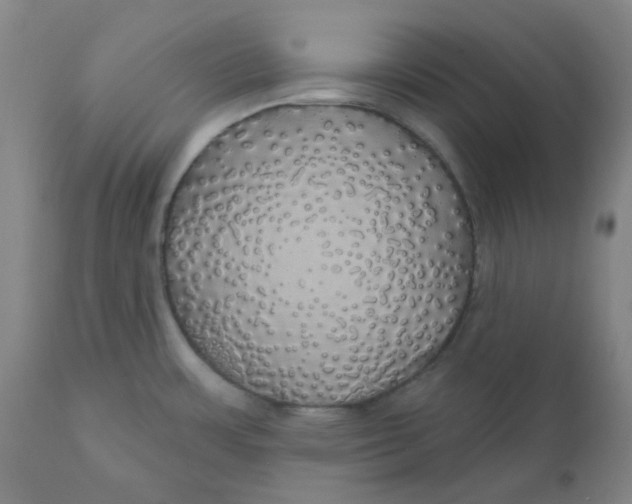 X0000110701483200907021945