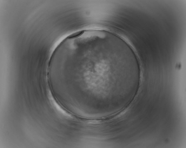 X0000110701484200907021945