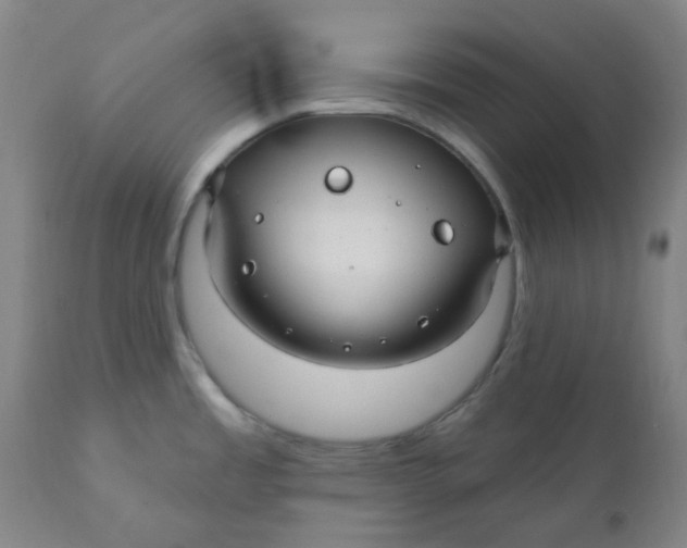 X0000110701485200907021945