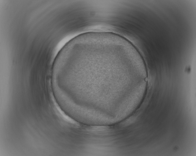 X0000110701486200907021945