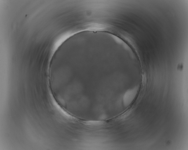 X0000110701487200907021945