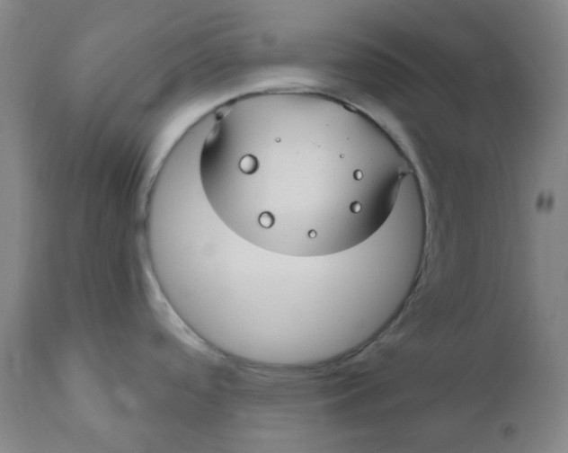 X0000110701488200907021945