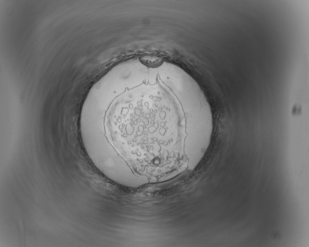 X0000110701489200907021945