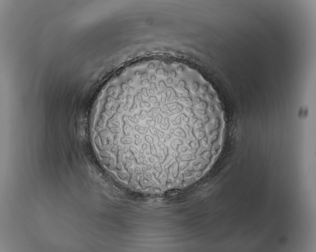 X0000110701490200907021945