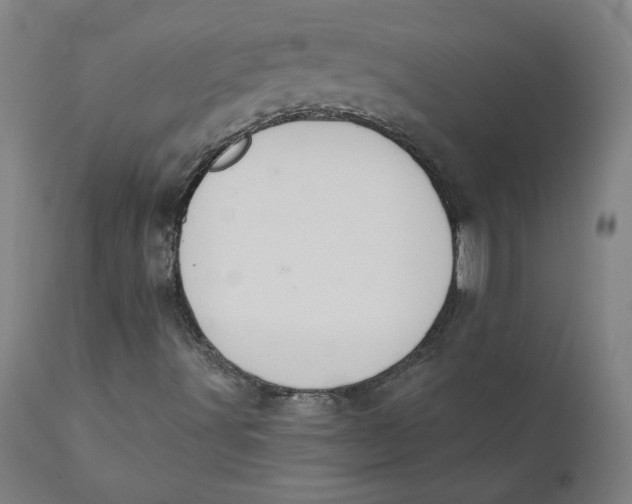 X0000110701491200907021945