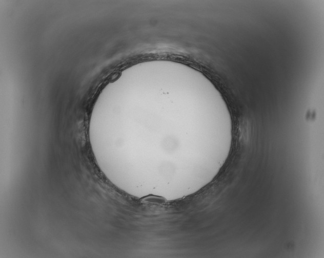 X0000110701493200907021945