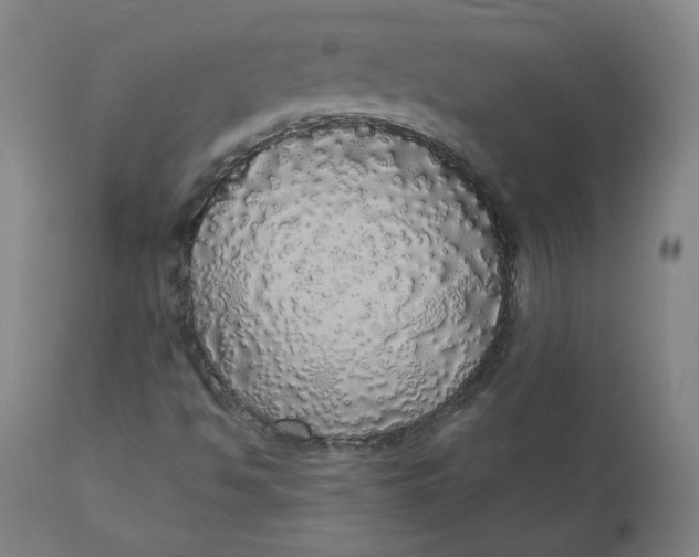 X0000110701494200907021945