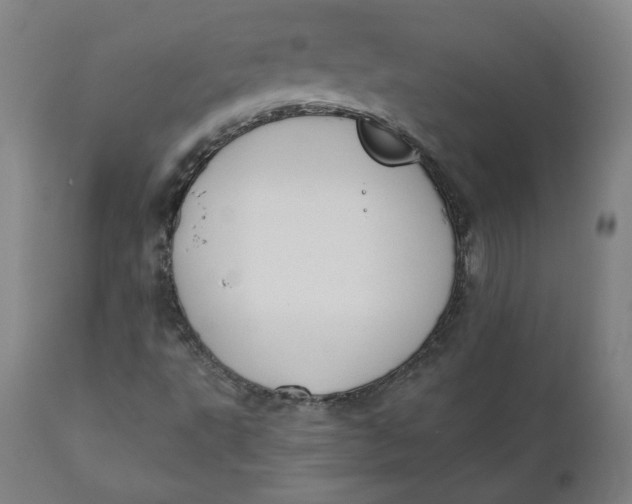 X0000110701495200907021945