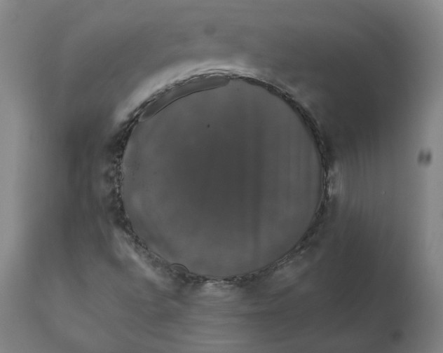 X0000110701496200907021945