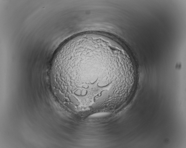 X0000110701497200907021945